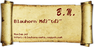 Blauhorn Máté névjegykártya